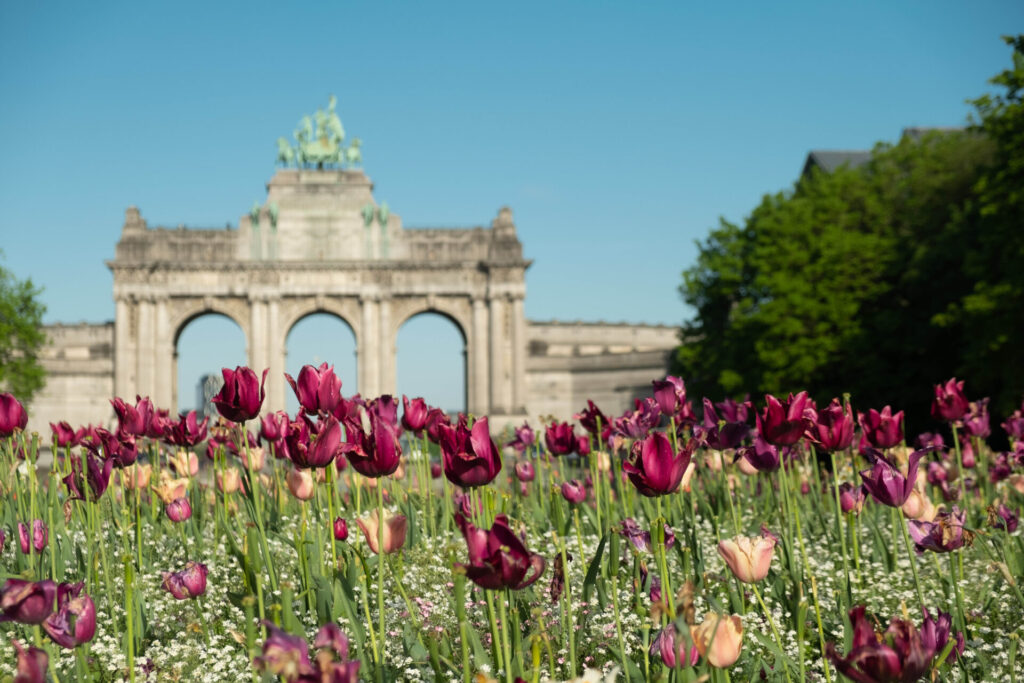 Afbeelding Jubelpark