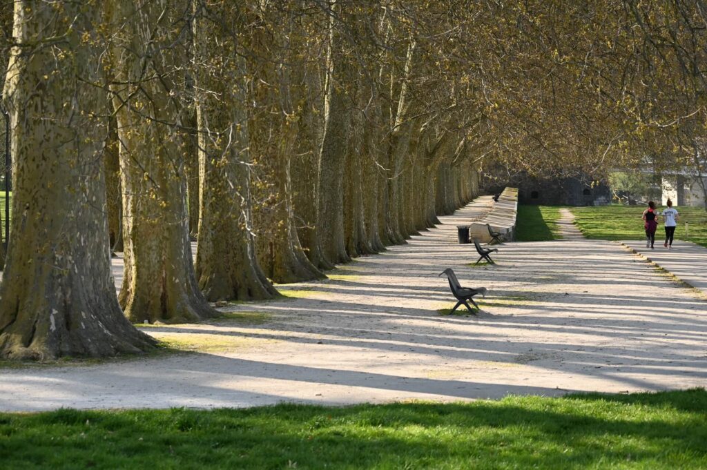 Afbeelding Parc les Bastions