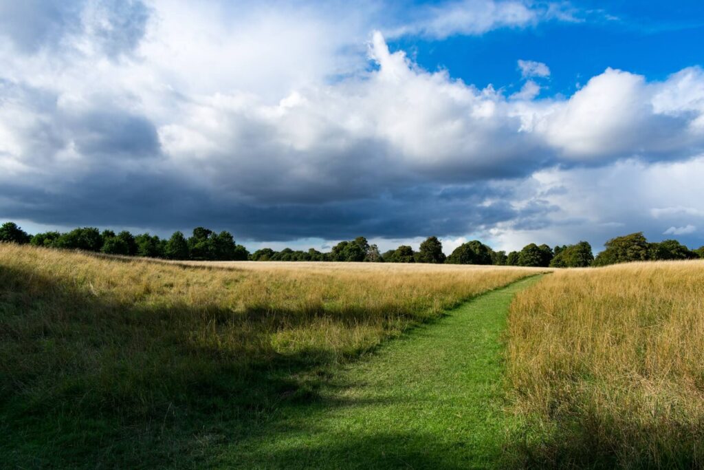 Afbeelding Phoenix Park