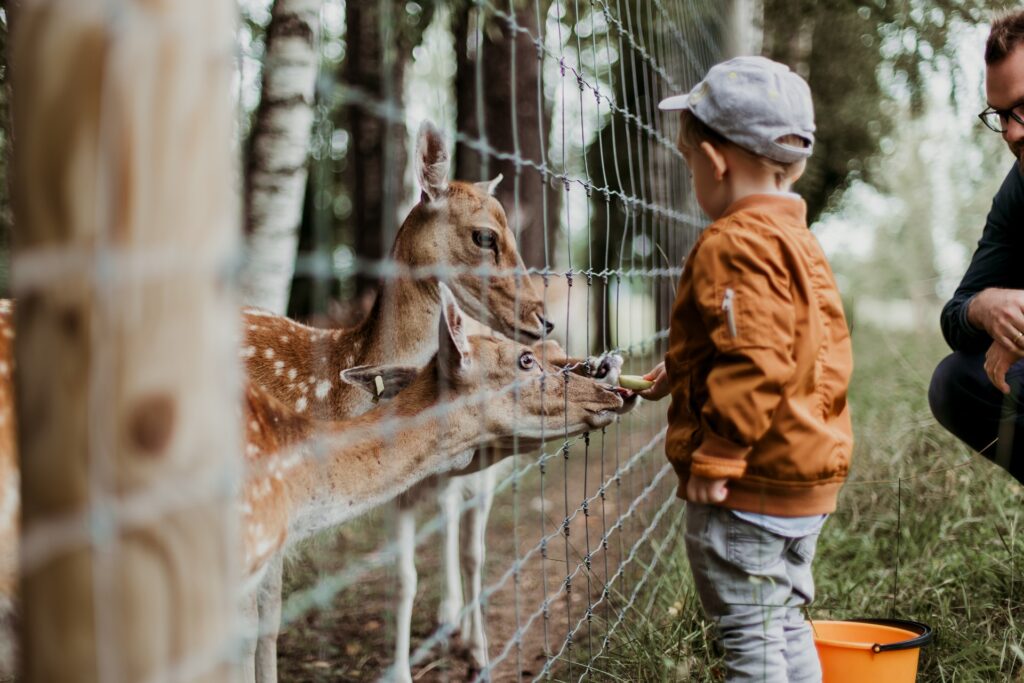 Afbeelding Dierentuin Zürich