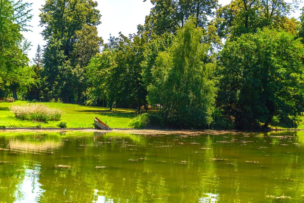 Afbeelding Bois de Boulogne