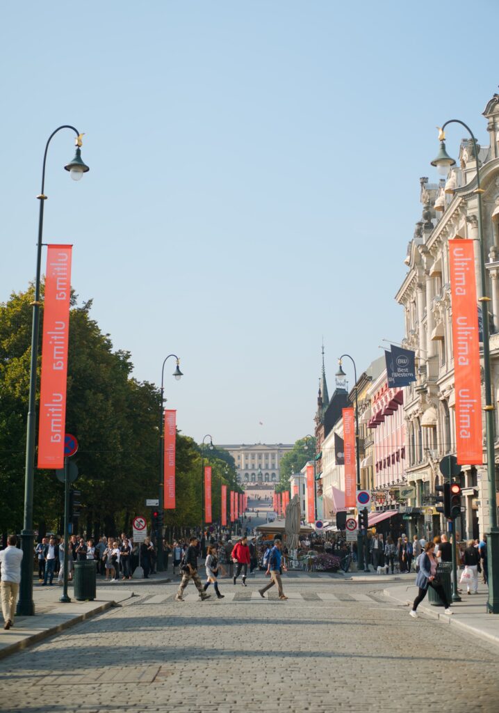 Afbeelding Karl Johans Gate