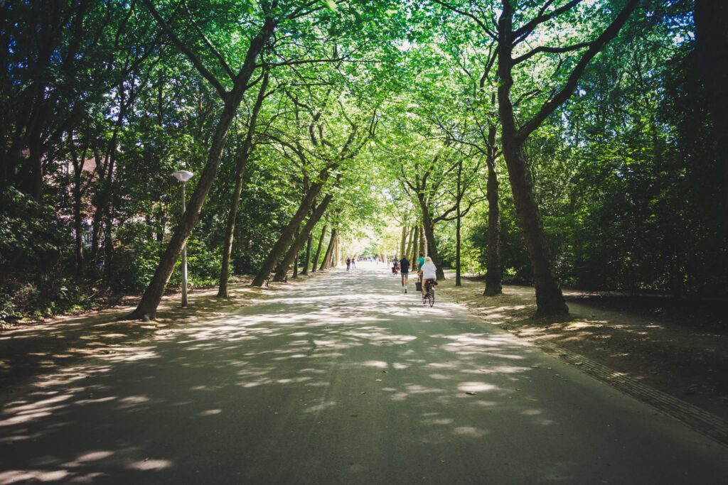 Afbeelding Het Vondelpark