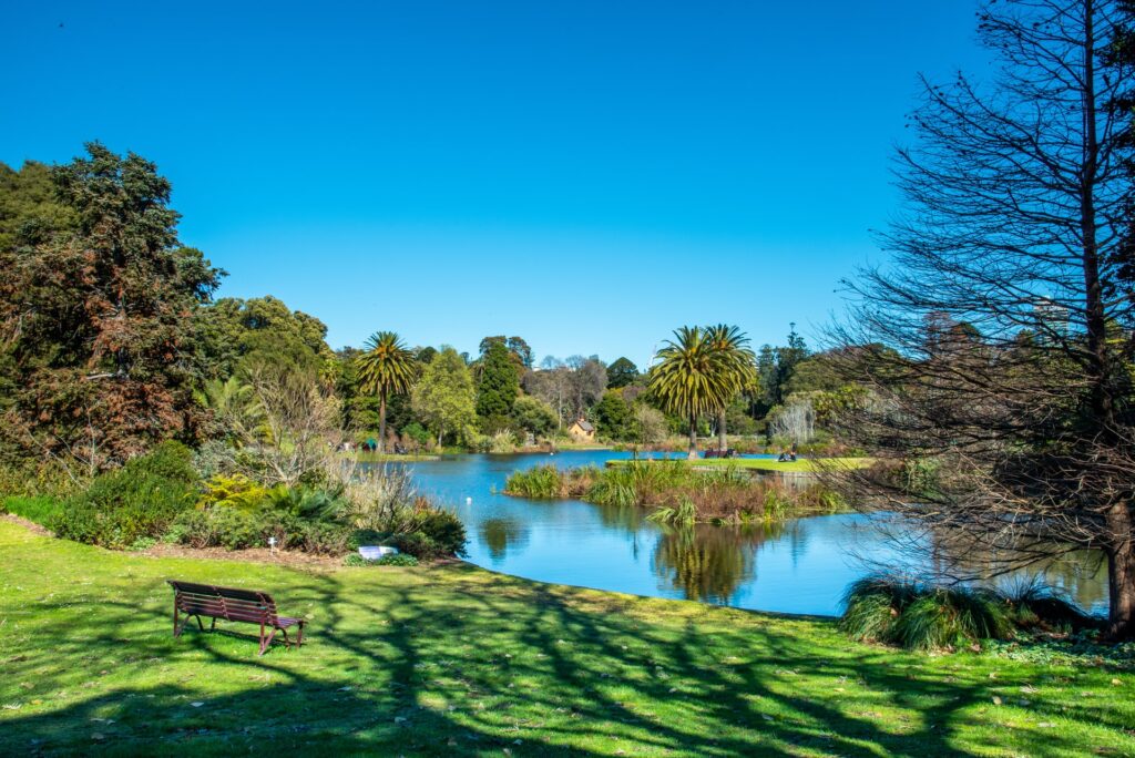 Afbeelding Royal Botanic Garden